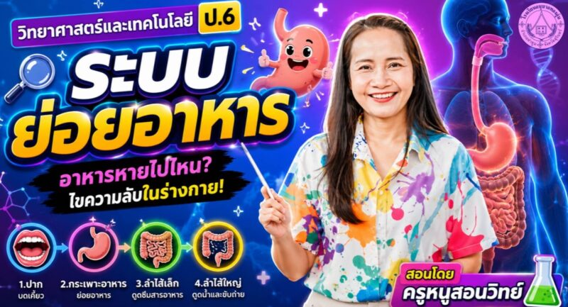 ระบบย่อยอาหาร