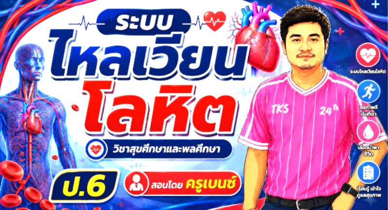 ระบบไหลเวียนโลหิต