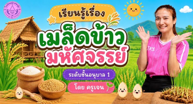 รู้เรื่อง เมล็ดข้าว มหัศจรรย์
