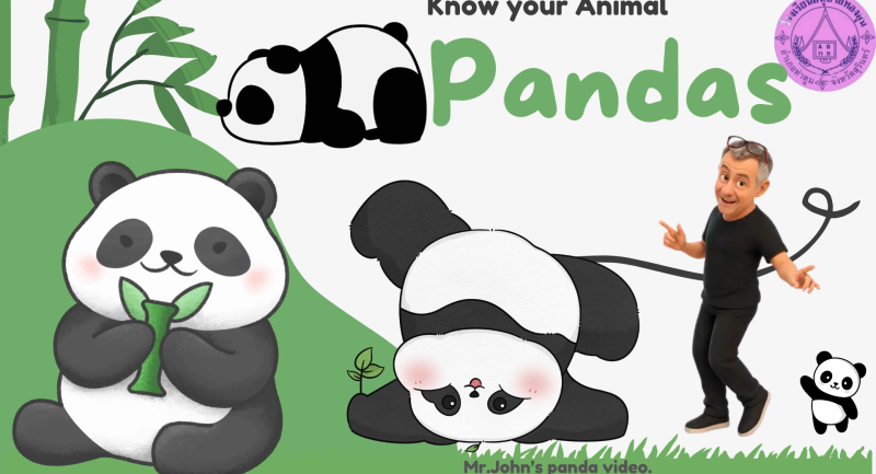 Pandas
